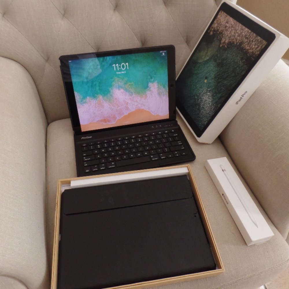 Apple iPad Pro 12.9 (2nd Gen) 256GB Wifi + Cellular bundle